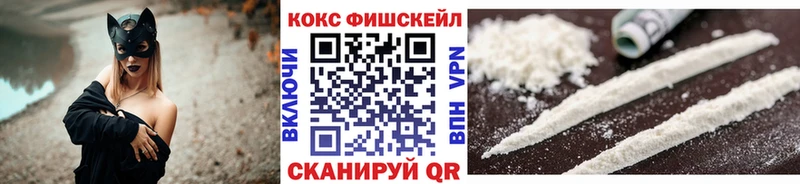 Cocaine FishScale  Купить закладки  Сердобск 