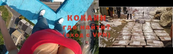 ПСИЛОЦИБИНОВЫЕ ГРИБЫ Гусь-Хрустальный