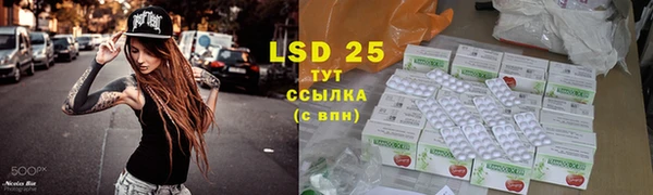ПСИЛОЦИБИНОВЫЕ ГРИБЫ Гусь-Хрустальный