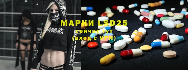 ПСИЛОЦИБИНОВЫЕ ГРИБЫ Гусь-Хрустальный
