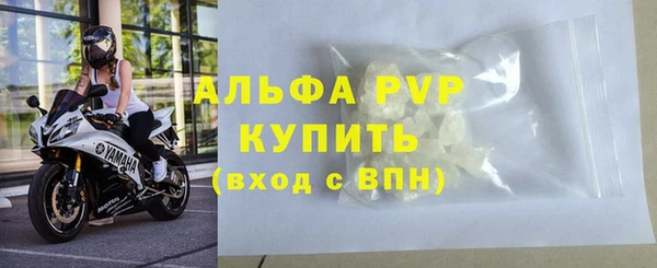 ПСИЛОЦИБИНОВЫЕ ГРИБЫ Гусь-Хрустальный