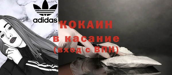 ПСИЛОЦИБИНОВЫЕ ГРИБЫ Гусь-Хрустальный