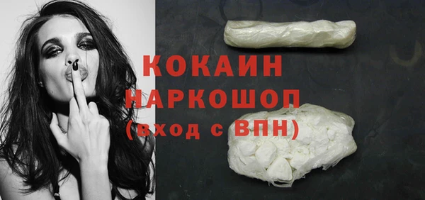 ПСИЛОЦИБИНОВЫЕ ГРИБЫ Гусь-Хрустальный