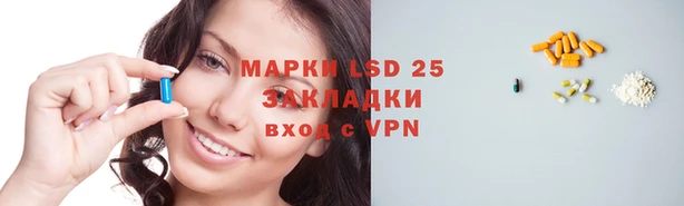 ПСИЛОЦИБИНОВЫЕ ГРИБЫ Гусь-Хрустальный