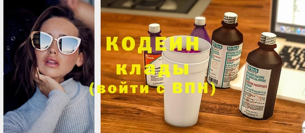 ПСИЛОЦИБИНОВЫЕ ГРИБЫ Гусь-Хрустальный