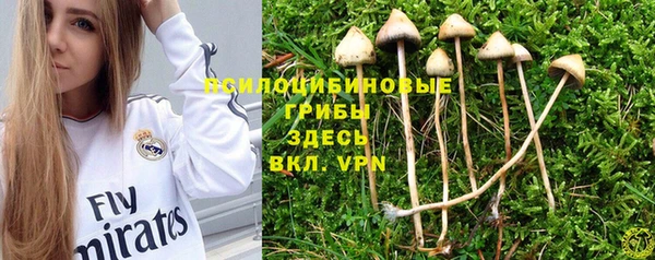 кокаин премиум Гусев