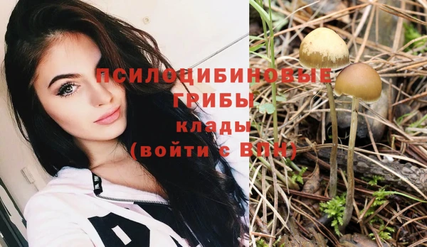 ПСИЛОЦИБИНОВЫЕ ГРИБЫ Гусь-Хрустальный