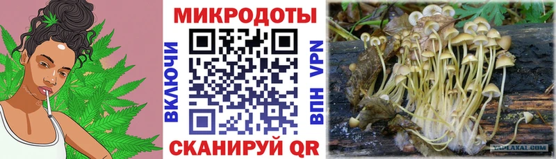 Псилоцибиновые грибы Magic Shrooms  Купить закладки  Сердобск 